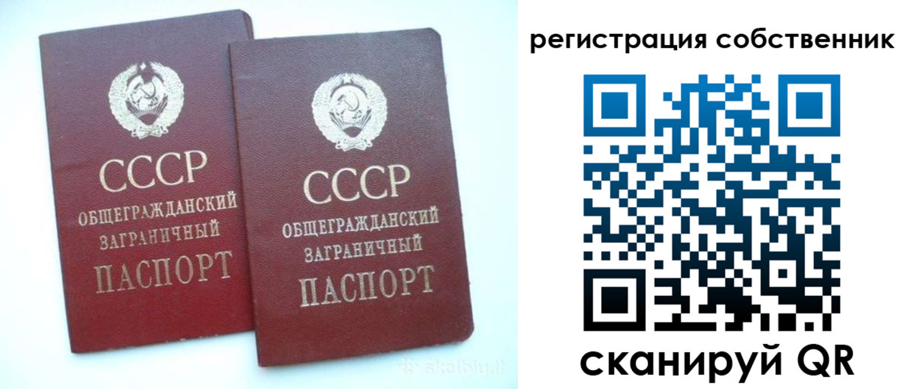 временная регистрация надежно в Заинске